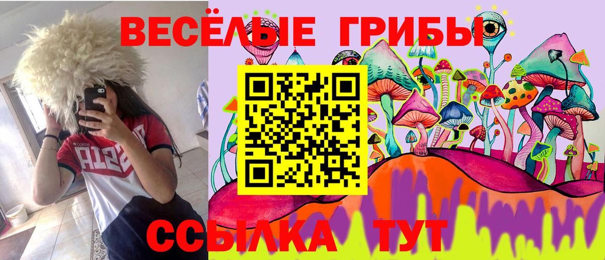 Галлюциногенные грибы Psilocybine cubensis  Вход с VPN  Альметьевск 